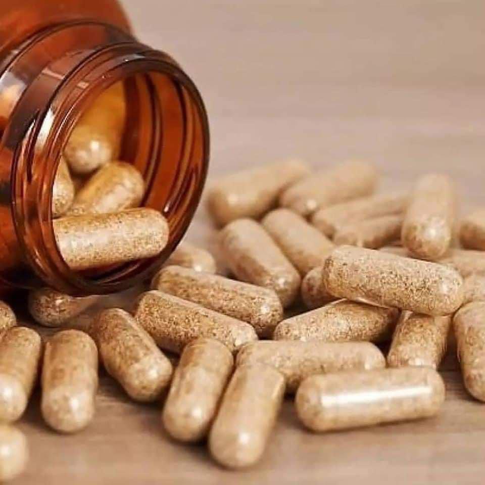 Iboga Capsules Online UK