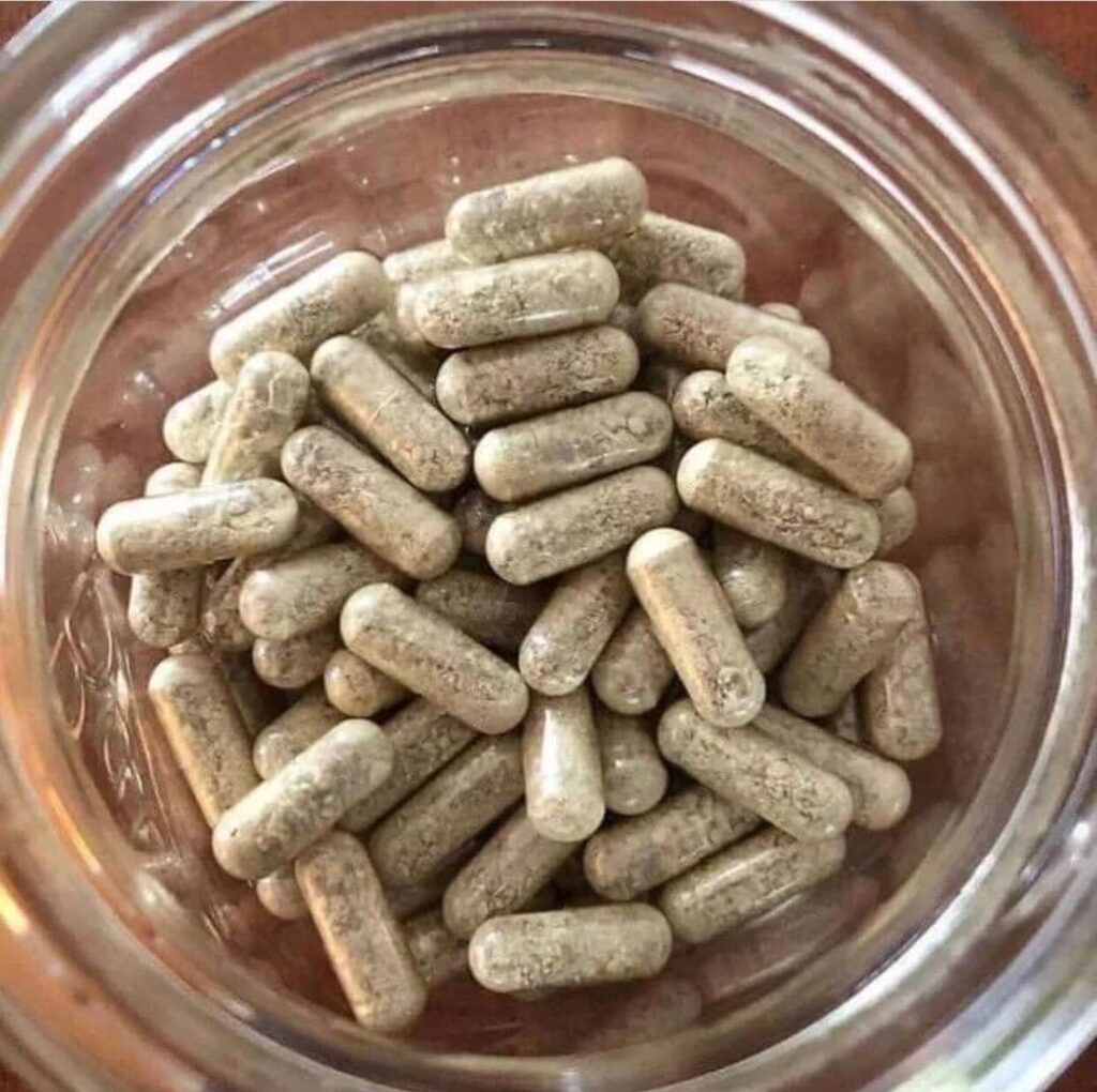 ibogaine capsules
