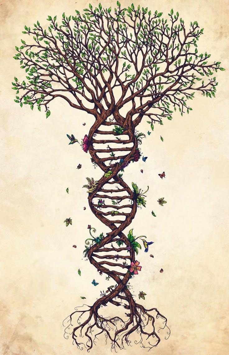 buy ibogaine HCL online TEXAS