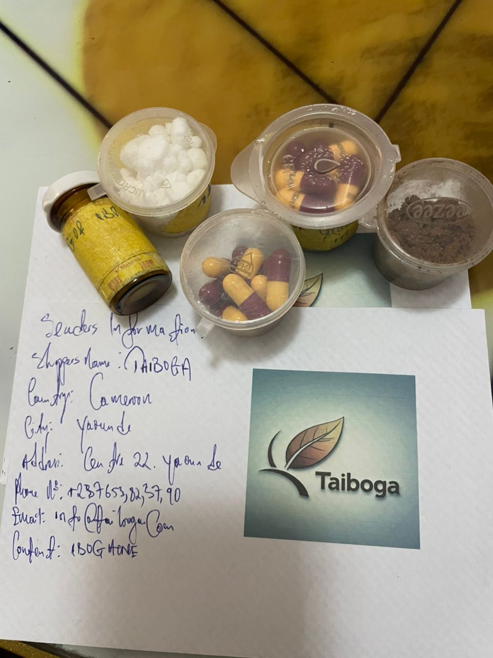 iboga plant for sale