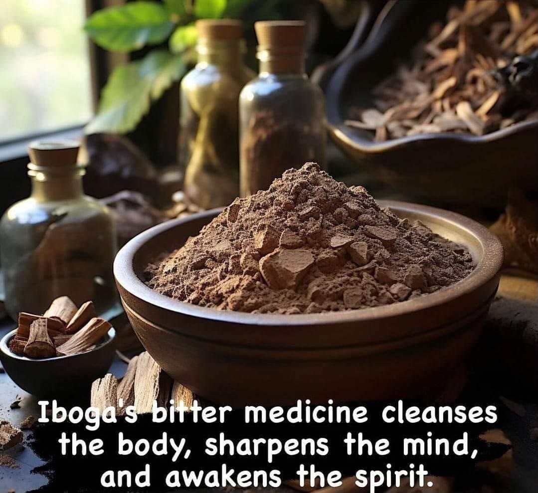 ibogaine treatment​ Connecticut
