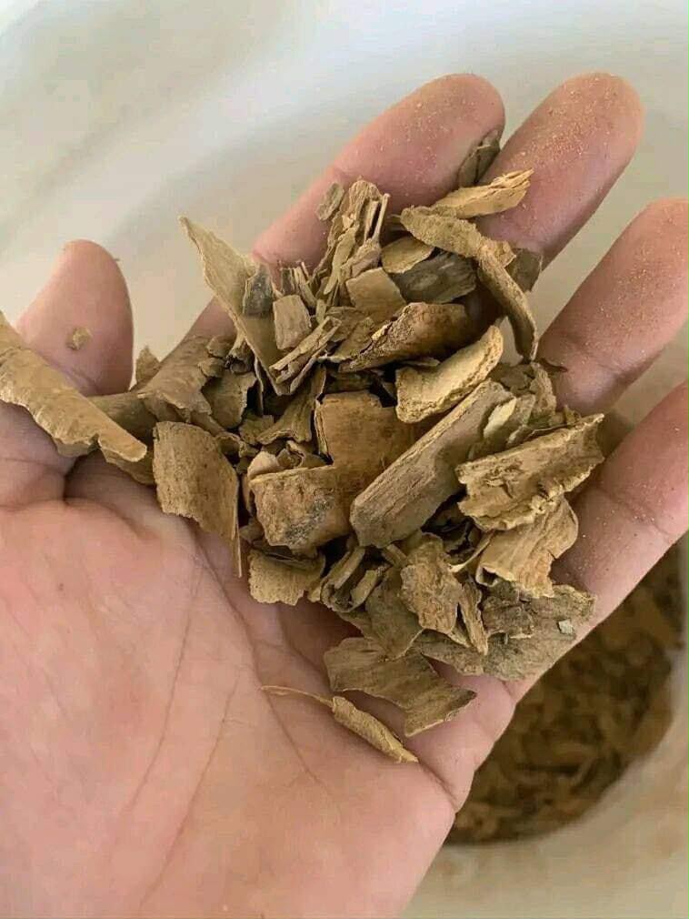 traditional uses of iboga root bark